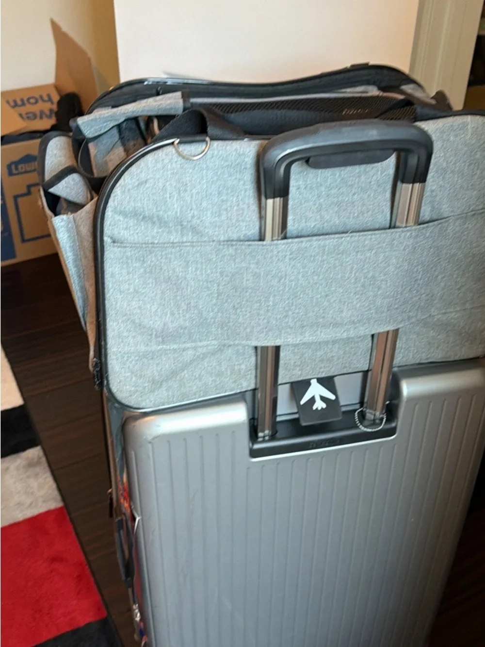 Dog traveling luggage small
